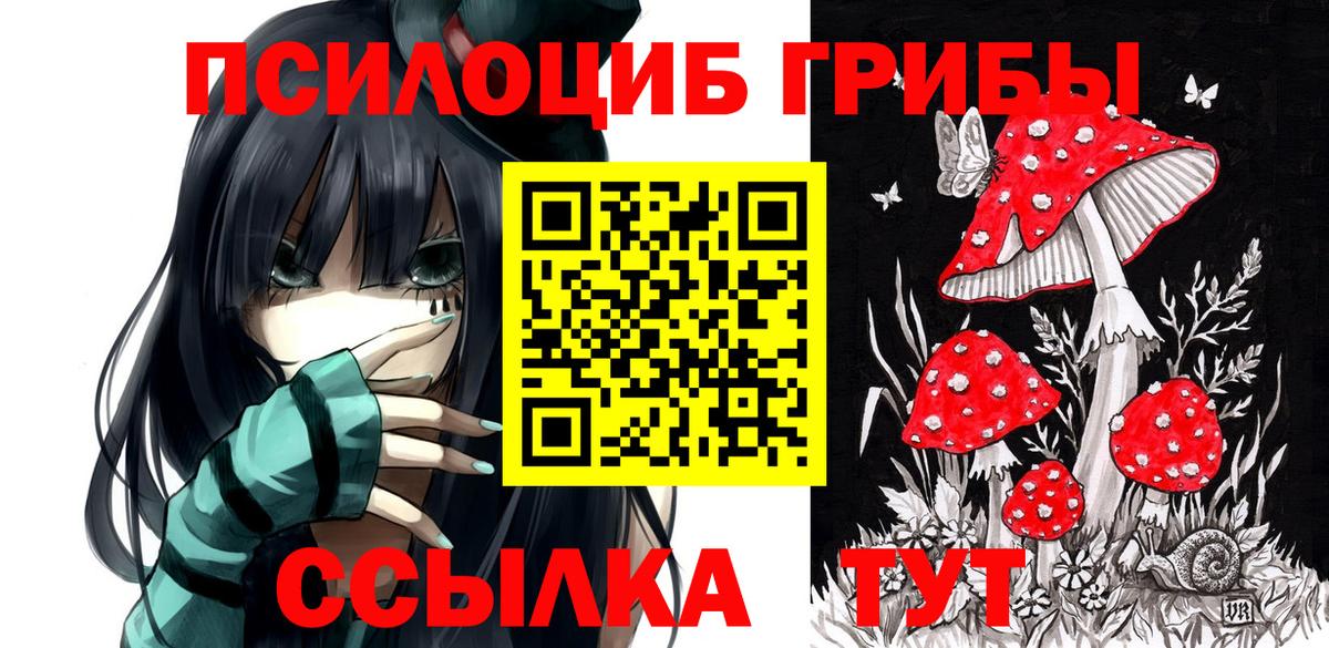Новый Уренгой  наркота  Галлюциногенные грибы прущие грибы  Вход с VPN  Галлюциногенные грибы Psilocybe 