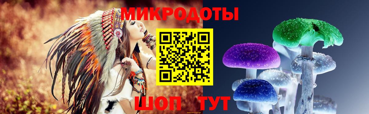 Псилоцибиновые грибы ЛСД Новый Уренгой